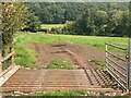 Cattle grid and track across farmland in LD3 0RF