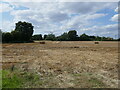 Stubble field near Wretton in PE33 9QN