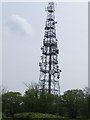 BT Radio mast on Ermine Street in SG13 7QA