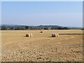 Straw bales in a field in DE7 6PL