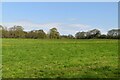 Pasture near Vine Farm in BN8 6PR