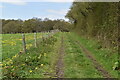 Track near Vine Farm in BN8 6PR