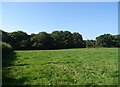 Grazing and woodland near Comberbatch in CW9 6AU