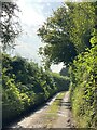 Country lane towards Tredustan in LD3 0PP