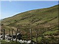 A track below Foel Tyr gawen in LL36 9UE