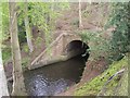 River Tern flowing under Shropshire Union Canal in TF9 1HS