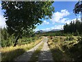 Forestry road east of Fersit in PH31 4AR