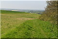 North Downs Way, Cobb's Hill in TN25 6AU