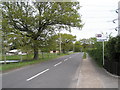 A peaceful scene at Nyewood in GU31 5HZ