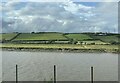 Tidal River Towy beside the South Wales main line in SA32 8DZ