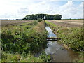Drain near Poplar Farm, Ruskington in NG34 9EF