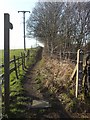 Footpath by Newlay railway bridge in LS13 1GA