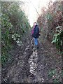 Muddy Footpath near venn Farm in DT6 6EL