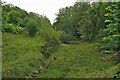 A dry stream in Ardley Wood in OX27 7NS