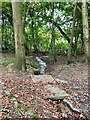 Stream through the woods in OX25 6HR