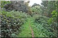 Footpath through the woods in OX25 6HR