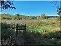 At the entrance to Aldercar Flash Nature Reserve in NG16 5BF