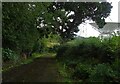 Track (footpath) near Knockin in SY10 8DA