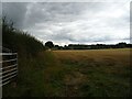 Stubble field and hedgerow, Heathwaen in SY10 8DB