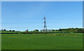 Crop field and pylon near Stanwardine Park in SY4 2EX