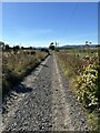 Farm track to Burnside in AB32 6XQ