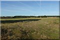 Field by Roughton Road in NR11 8PJ