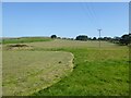 Fields west of Tunstead Farm in BB18 6SZ