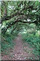 Footpath off Trewinnard Lane in TR27 6JX