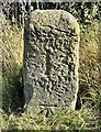 Old Milestone by the A688, north east of Evenwood Gate in DL14 9NW