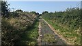 The permissive bridleway between Trenorgan and Thorne in SA71 5EA