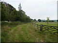 Farm track near Park Farm, Heythrop in OX7 5TP