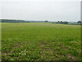 Grass field near Adlestrop in GL56 0UR