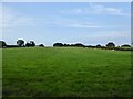 Brickkiln Common Five Acres in RH14 0GH