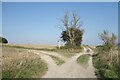 Track Junction on Barnsfarm Hill in RH20 4BA