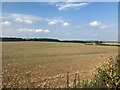 Fields seen from Homestead Farm in NG12 4AU