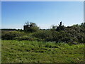 Remains of farm buildings near Bush Wood in B49 5FR