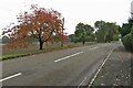 Autumn on Orlingbury Road in NN8 6BQ