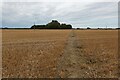 Footpath from Tittleshall in Tittleshall