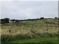 Rough grazing, High Auchenleck in PA14 6LU