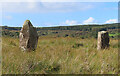 Baliscate Standing Stones in PA75 6PY