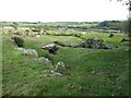 Carn Euny - View across site in TR20 8RE