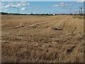 Recently harvested cereal field in EH53 0RJ