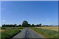 March Road approaching the hamlet of Tipps End in PE14 9SF