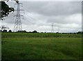 Grazing and power lines, Cryers Bridge in CH2 4LJ