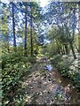 Woodland path towards Parkmill in Ilston Community
