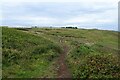 Path crossing Higher Predannack Cliff in TR12 7HA