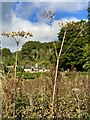 A glimpse of Green Cwm Cottage in Ilston Community