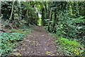 A path through Finedon Pocket Park in NN9 5HX