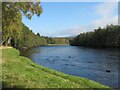 The Spey near Craigroy in PH26 3NQ