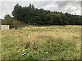 Undeveloped ground, Dunlin Drive in KY11 8YY